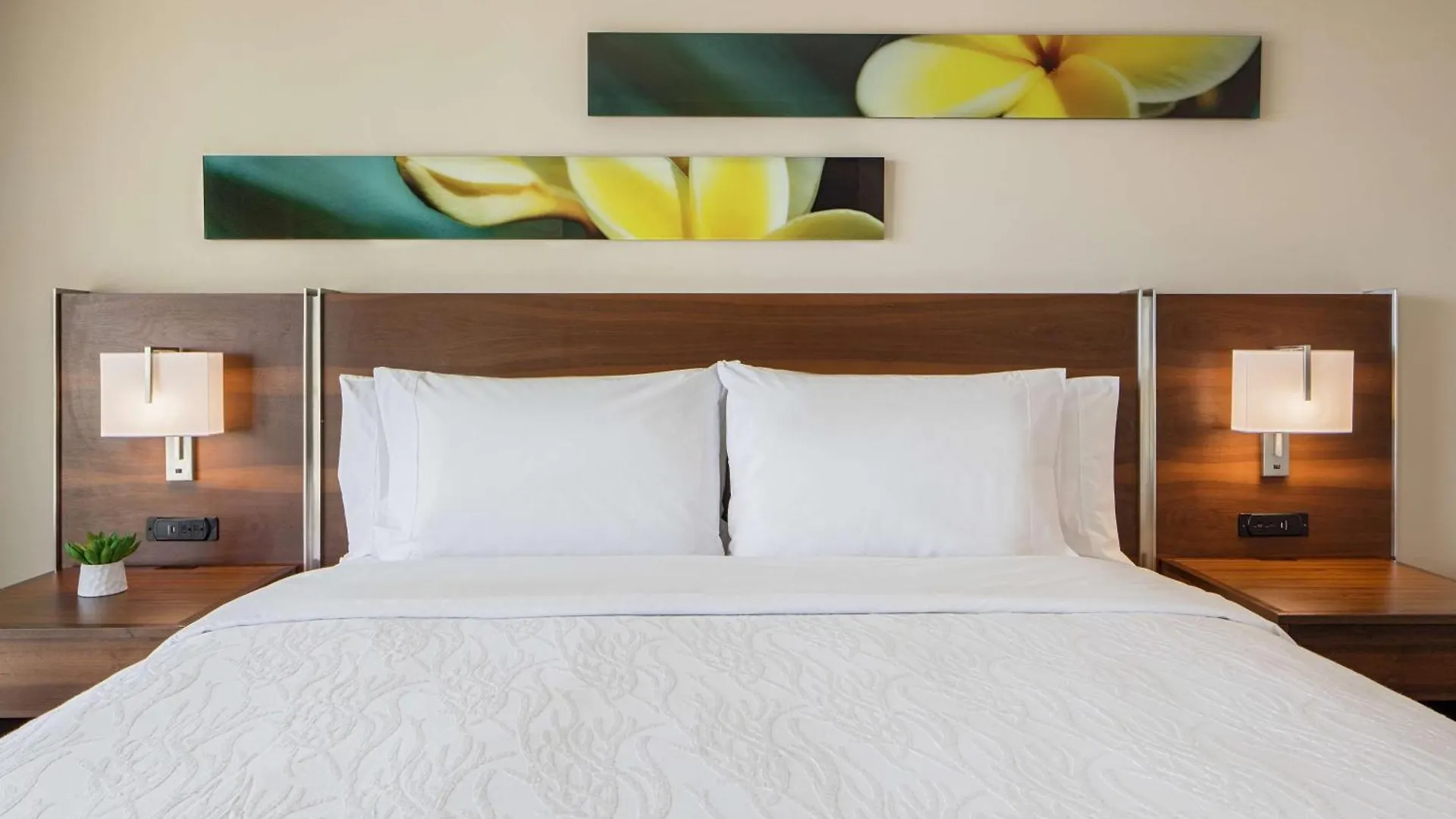 הונולולו Hilton Garden Inn Waikiki Beach 3*,